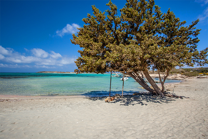 Elafonisi Beach and Milia Mountain Retreat - Luxury Jeep Tour  with Lunch